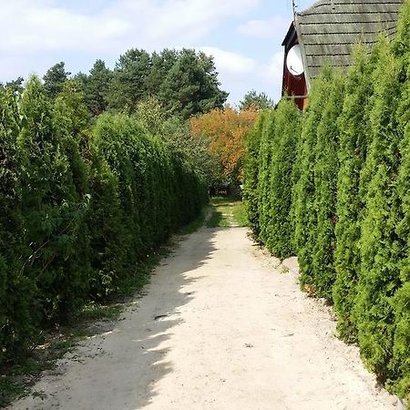 Wyspa Kampinos Brochów Esterno foto