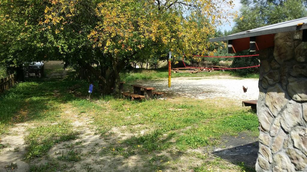 Wyspa Kampinos Brochów Esterno foto