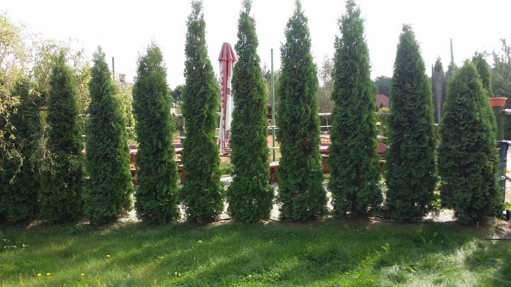Wyspa Kampinos Brochów Esterno foto