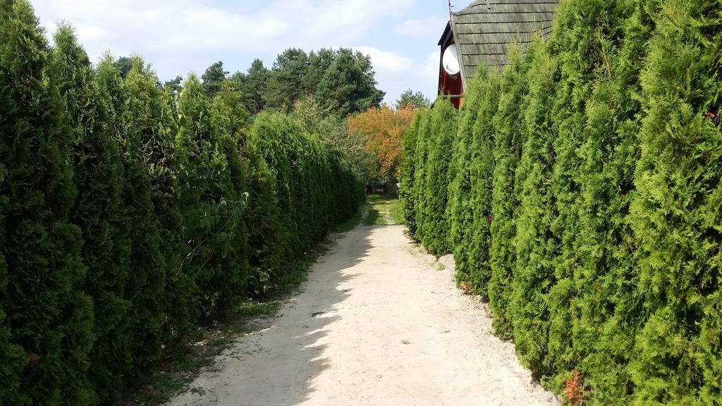 Wyspa Kampinos Brochów Esterno foto