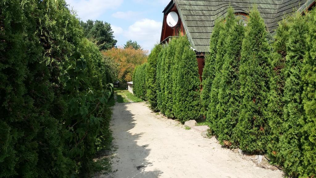 Wyspa Kampinos Brochów Esterno foto